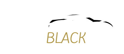 Black Car Service Logo